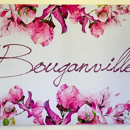 Le Bouganville トロペーア